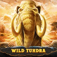 Wild Tundra